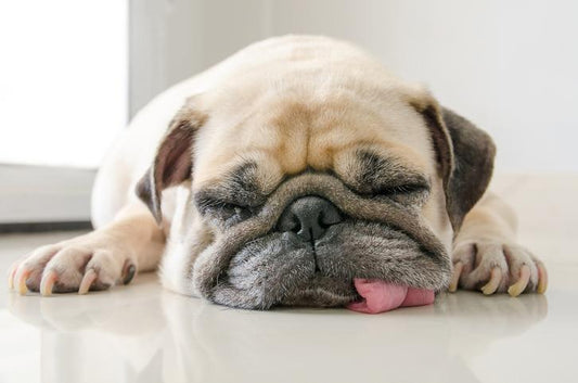 The Benefits of Sleeping on The Floor - PineTales