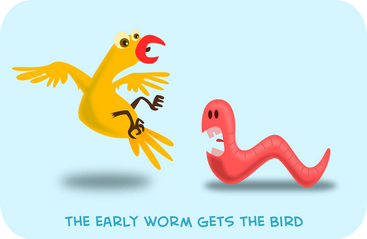 Sleep Chronotypes: Much More Than Early Birds and Night Owls