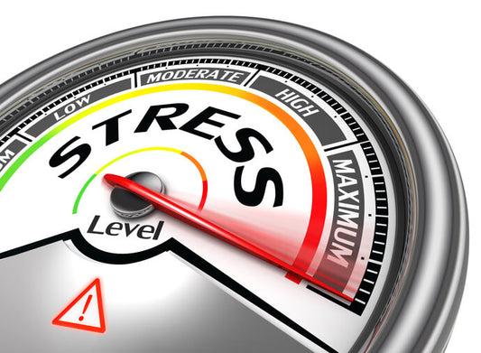 Healthy Coping Mechanisms to Manage Stress