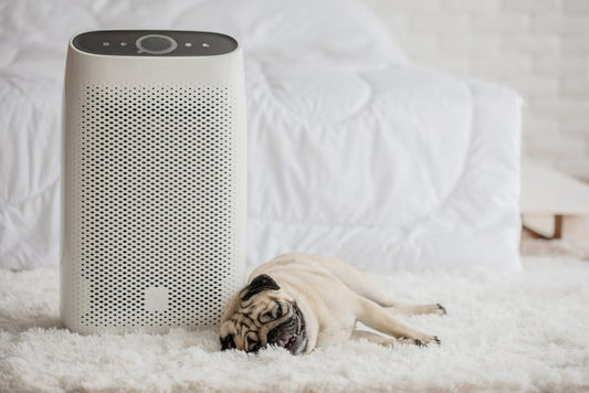 How Air Purifiers Can Help You Sleep Better