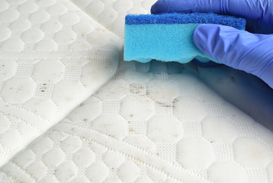 How To Spot A Moldy Mattress And What To Do If You Have One - PineTales
