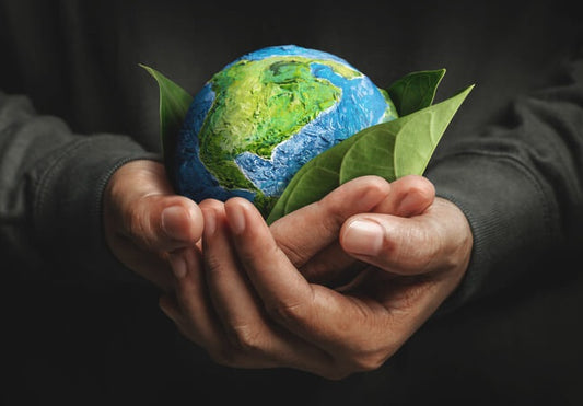 Living a More Sustainable Life