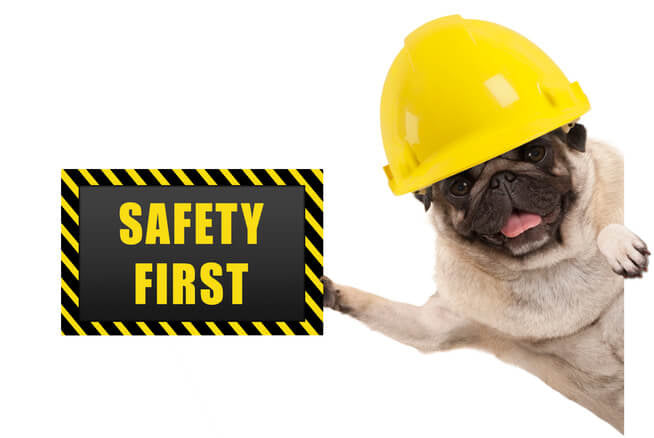 Buckwheat Pillows are Toxin Free and hypoallergenic