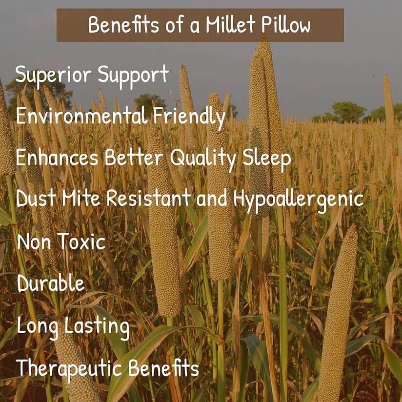 benefits list of millet hulls being used in pillows