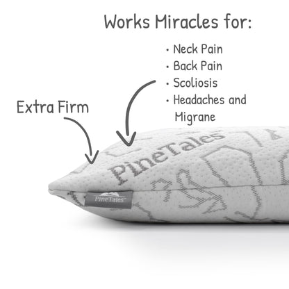 Premium Bamboo Millet Pillow - PineTales®