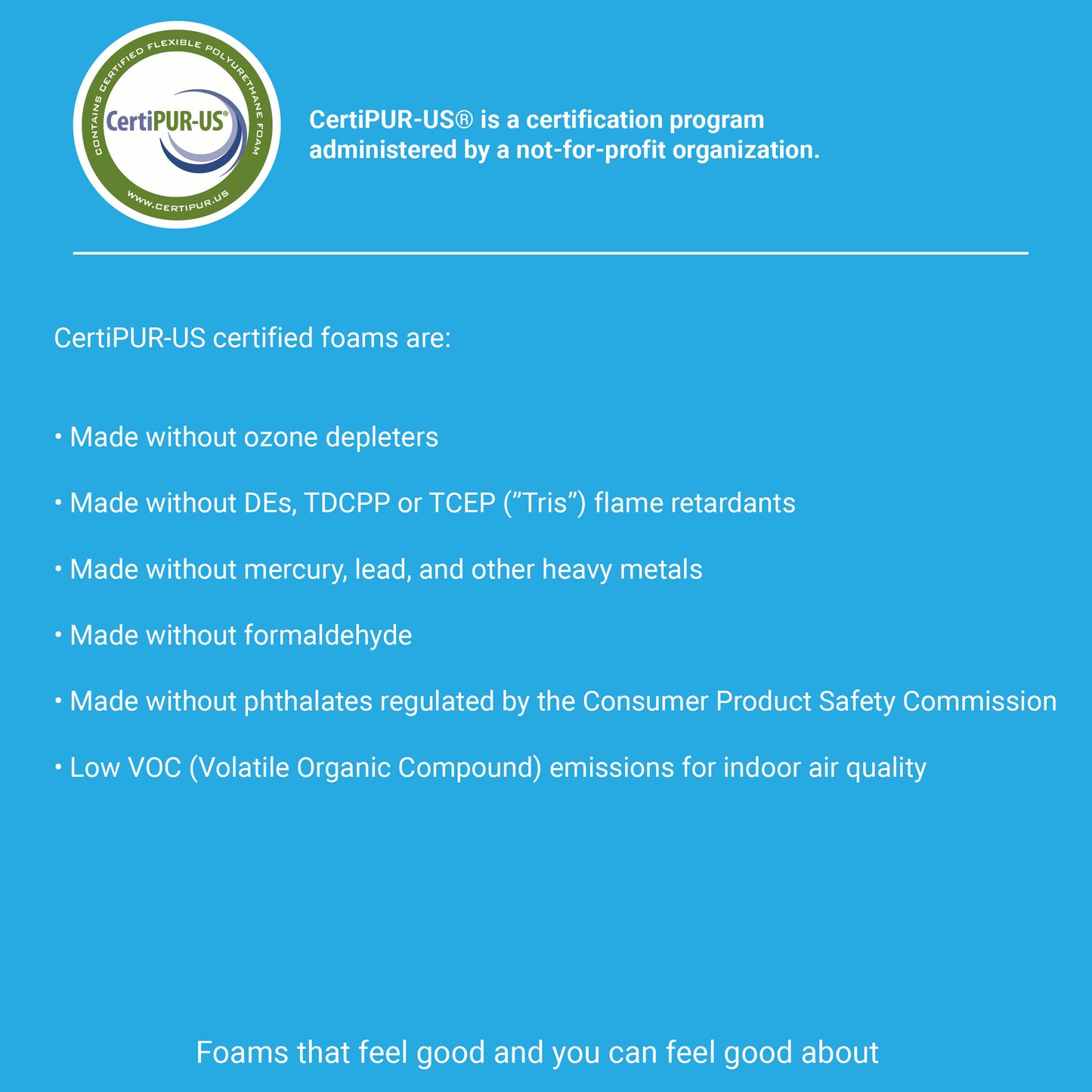 Hybrid Buckwheat and Memory Foam Pillow with Bamboo Cover - Certipur US Foam Benefits List