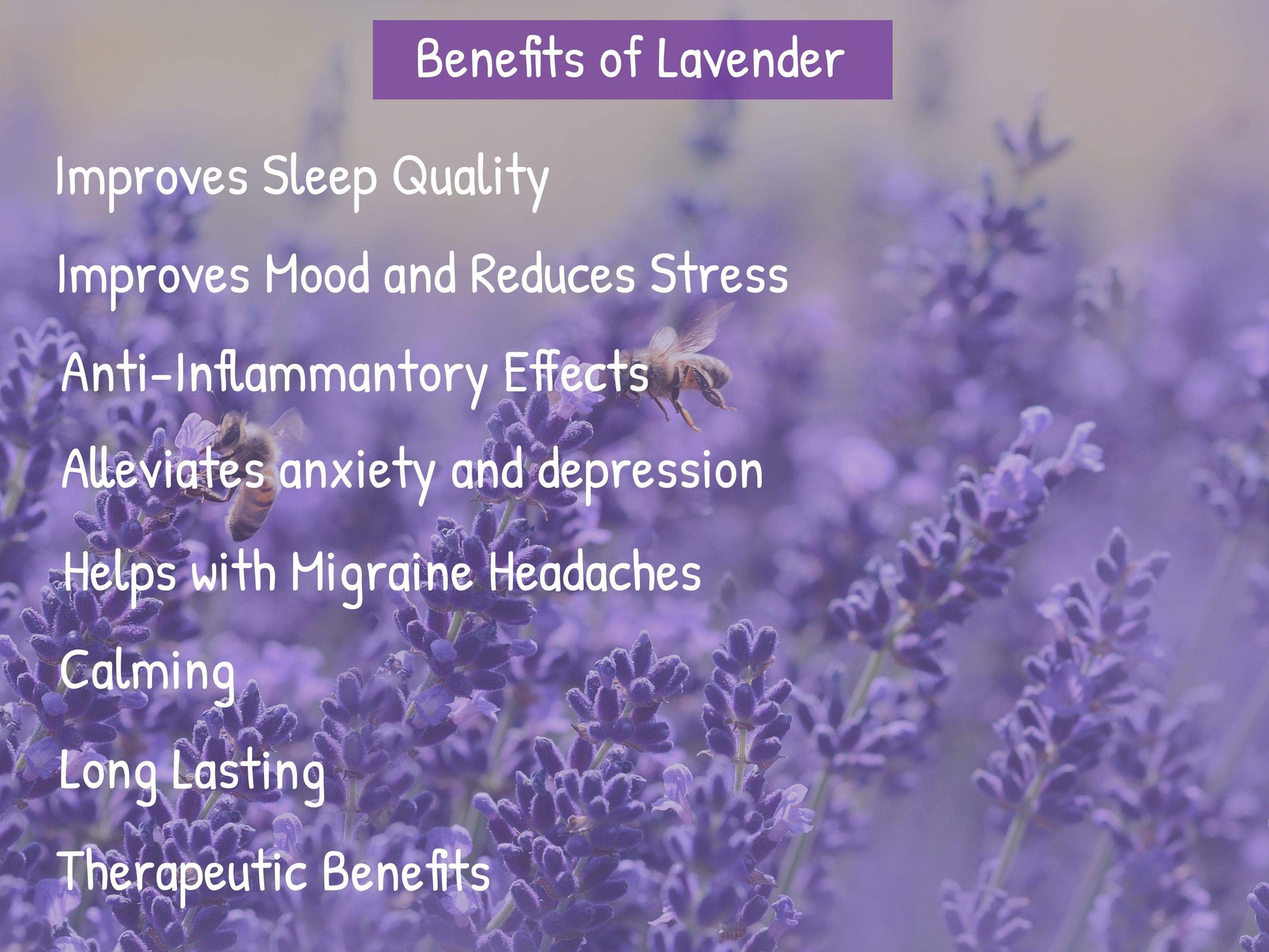 Aromatherapy Lavender Pillow - PineTales