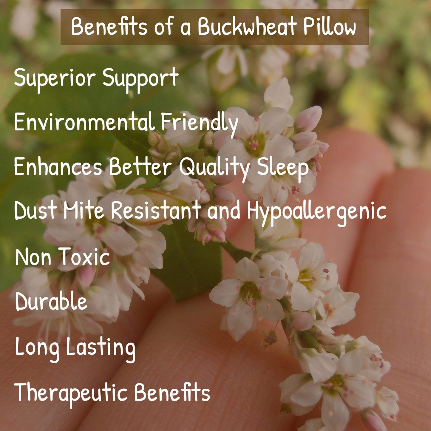 Basic Buckwheat Pillow - PineTales