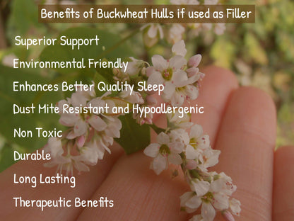 Organic Buckwheat Hulls Refill | Stuffing for Pillows - PineTales® - 5lbs