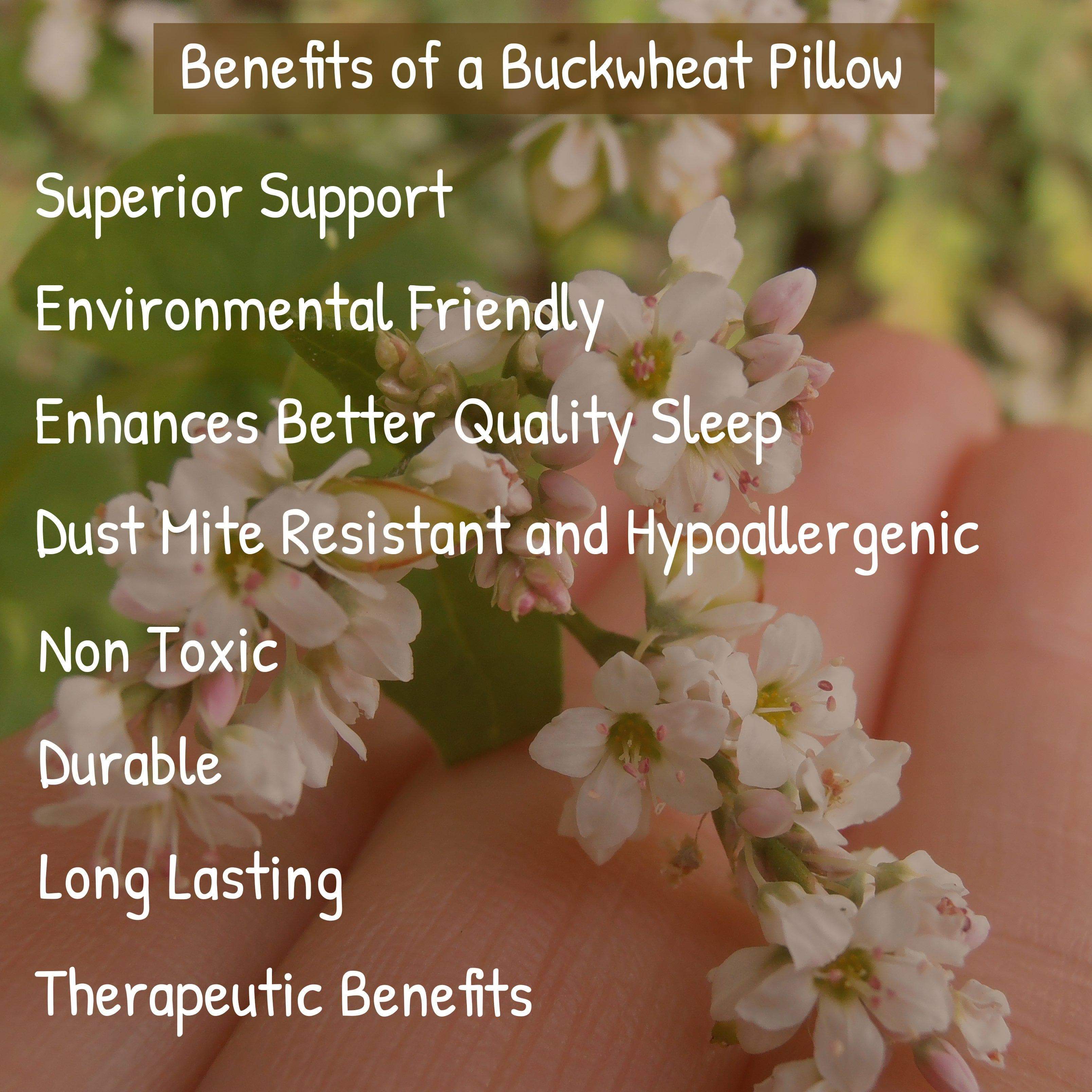 Buckwheat Hull Pillow Deluxe - PineTales - Buckwheat Hulls Benefits